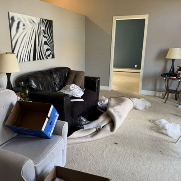 Messy living room with a black couch, clutter, and a zebra-print wall art.